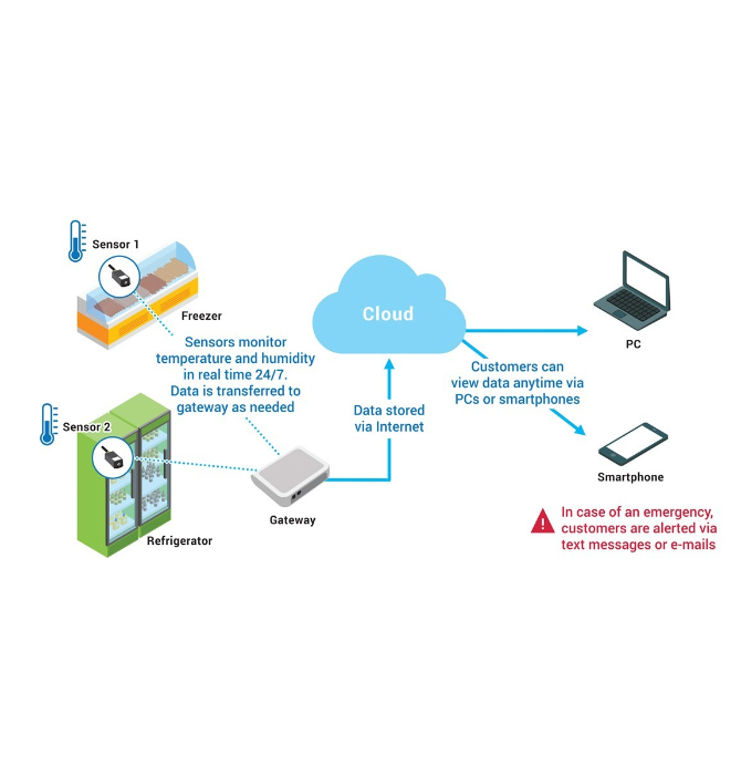 Temperature Monitoring System